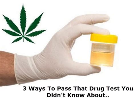 passing a drug test thc